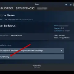 Ekran pomocy technicznej Steam z zaznaczonym przyciskiem "Chcę otrzymać zwrot pieniędzy".