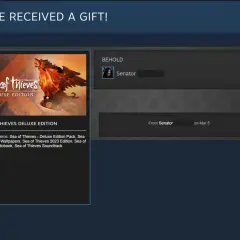 Okno Steam z informacją o otrzymanym prezencie: gra Sea of Thieves Deluxe Edition od Senatora.