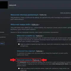 Jak zrobić ładny profil Steam, aby przyciągnąć innych graczy?