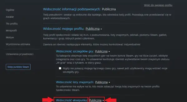 Jak zrobić ładny profil Steam, aby przyciągnąć innych graczy?